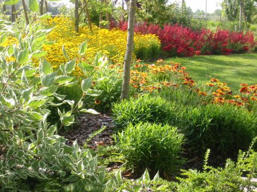 giardino contemporaneo 13